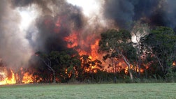 Wildfires raging across southern Australia have killed one man and destroyed several homes.